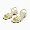 Wonders B-1103 - Gold