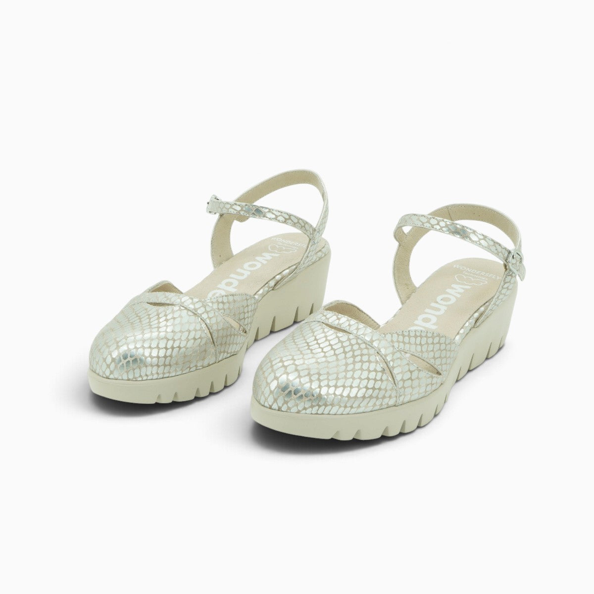 Wonders C-33352 - Silver